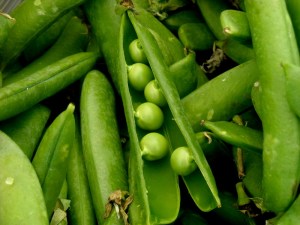 English Peas 1